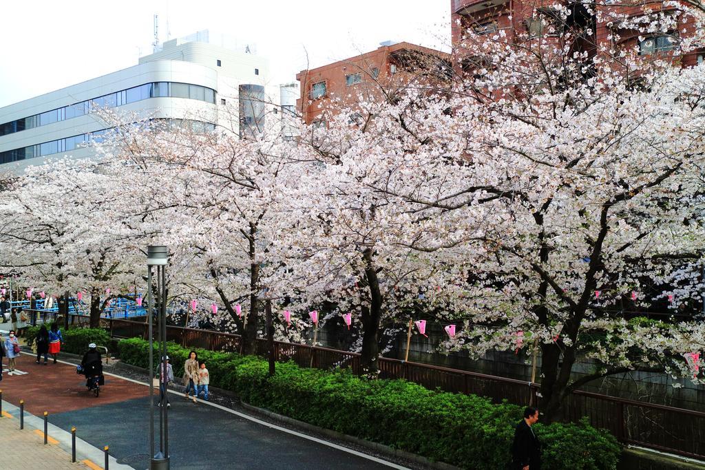 Coto Tokyo Shibuya Appartement Buitenkant foto